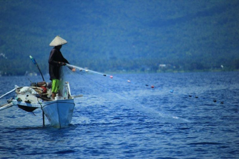 Jaring Kapal Besar Gerus Jatah Udang Nelayan