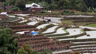 Alih Fungsi Lahan Dari Sawah ke Nonsawah Mencapai 150.000 Hektare Per Tahun