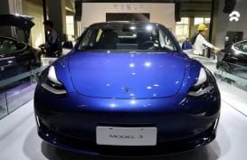 Wow! 4 Mobil Listrik Tesla Ini Paling Banyak Dicari di Google