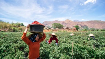 Wujudkan Champion of Financial Inclusion, BRI Terapkan Prinsip ESG dalam Pembiayaan UMKM