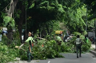 Cuaca Jakarta Hari Ini, BMKG: Waspada Potensi Angin Kencang!