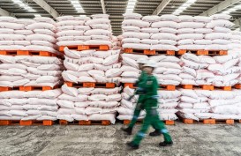 Rusia Setop Ekspor Amonium Nitrat, Harga Pupuk Bakal Meroket!