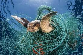 Atasi  Ghost Fishing,  Aturan Alat Tangkap Ikan Diperketat