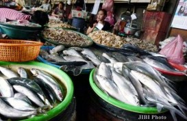 KKP Minta Pedagang Ikan Bentuk Koperasi untuk Perluas Pemasaran