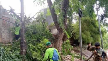 Angin Kencang Hari Ini, 13 Pohon di Jakarta Pusat Tumbang