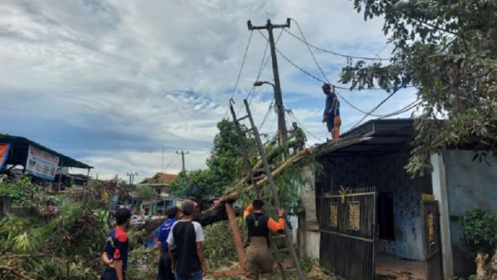 Tangerang Kerahkan Petugas untuk Bereskan Pepohonan yang Tumbang