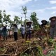 Tol Bawen-Yogyakarta, Warga Mendapat Hibah Empat Hektare 