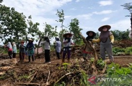 Tol Bawen-Yogyakarta, Warga Mendapat Hibah Empat Hektare 