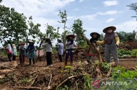 Tol Bawen-Yogyakarta, Warga Mendapat Hibah Empat Hektare…