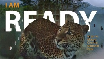 Rasi, Macan Tutul Betina Dilepasliarkan di Gunung Ciremai