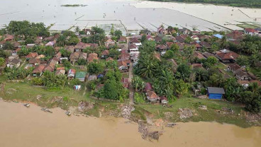 Kawasan Permukiman di Tepi Sungai Batanghari Mulai Tergerus Abrasi