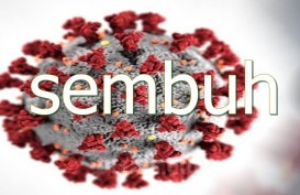 Update Covid-19: Pasien Sembuh di Lebak Bertambah 147 Kasus