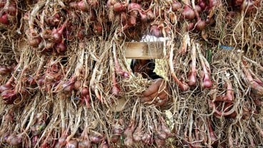 Produksi Anjlok 50 Persen, Pemerintah Diminta Buka Impor Bawang Merah 