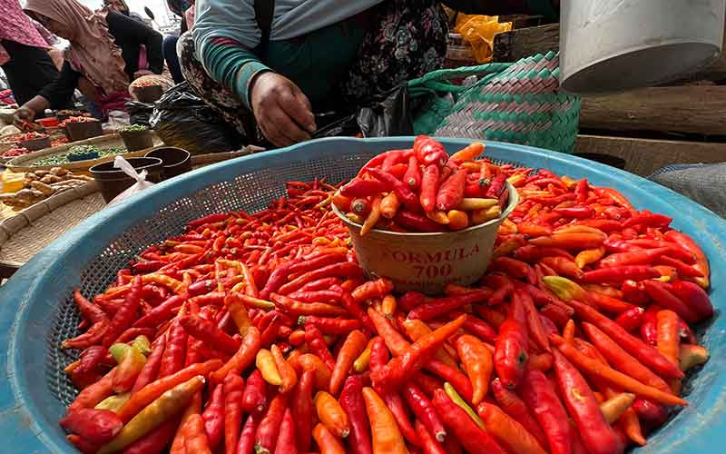 Saatnya Giliran Harga Cabai Berulah Makin Pedas