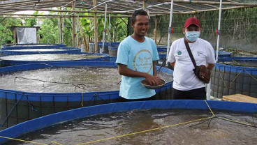 Yayasan KEHATI Kembangkan Budi Daya Ikan Nila Sistem Bioflok