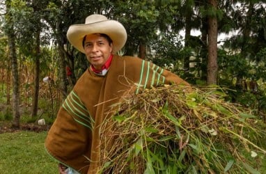 Kongres Peru Setujui Proses Pemakzulan Presiden Castillo