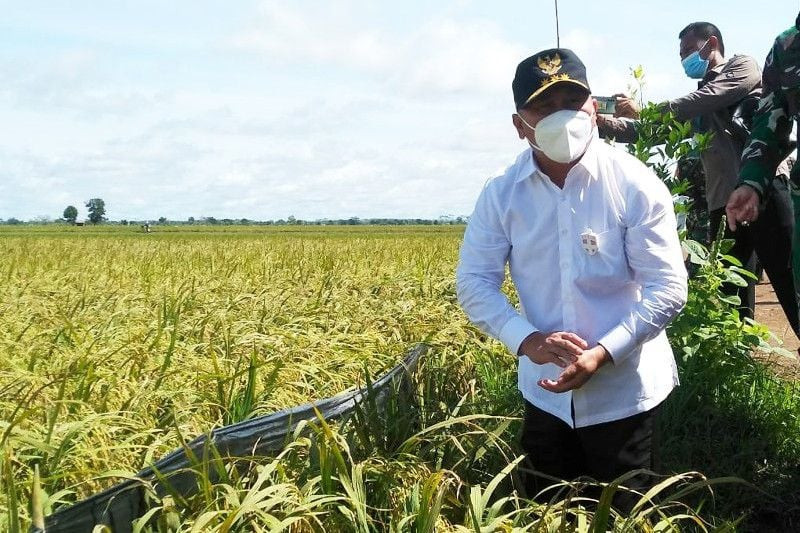 Membedah Langkah Strategis Kalteng Tatap IKN