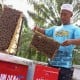 Raih Omset Ratusan Juta dari Usaha Ternak Madu Mellifera