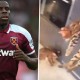 Gara-gara Aniaya Kucing, Bek West Ham Dibawa ke Pengadilan di Inggris