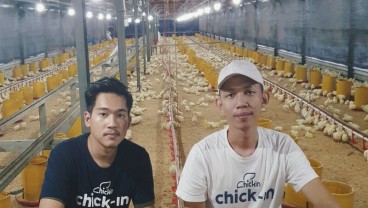 Perusahaan Rintisan Chickin Optimistis Cetak Cuan dari Ayam