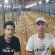 Perusahaan Rintisan Chickin Optimistis Cetak Cuan dari Ayam