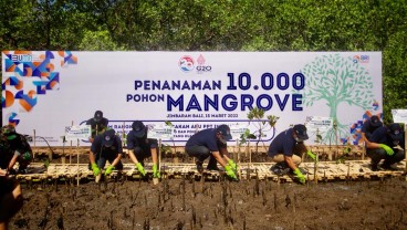 Peringati Dua Dekade Gerakan APU PPT Indonesia, BRI dan PPATK Tanam 10.000 Mangrove di Bali