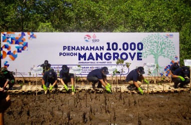 Peringati Dua Dekade Gerakan APU PPT Indonesia, BRI dan PPATK Tanam 10.000 Mangrove di Bali