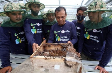 Jelajah Petani Milenial Juara: Ingin Sukses Ternak Lebah Madu, Ini Saran Kadishut Jabar
