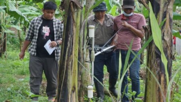 Terdeteksi Benda Padat di Sekitar Lokasi Temuan Arca Kuno Tulungagung