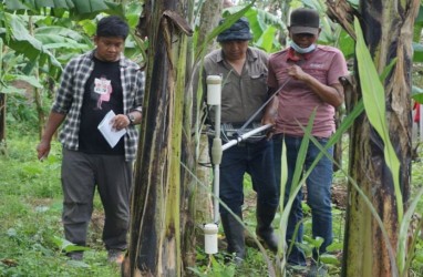 Terdeteksi Benda Padat di Sekitar Lokasi Temuan Arca Kuno Tulungagung