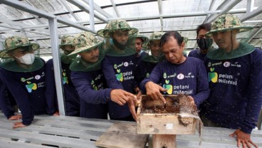 Jelajah Petani Milenial Juara: Dulu PKL, Supardi Sukses Raup Cuan dari Lebah Madu