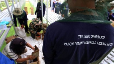 Jelajah Petani Milenial Juara: Milenial, Jadi Petani Lebah Madu Itu Mudah Lho!