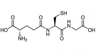 Cara Mendapatkan Kadar Glutathione yang Cukup untuk Tubuh Anda