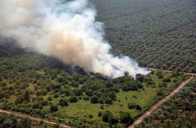 Lahan Terbakar di Riau Sudah Mencapai 168,66 Ha