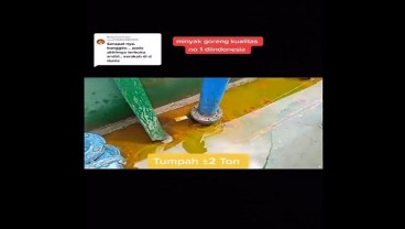 Viral Video Minyak Goreng Ribuan Ton Tumpah di Laut, Ini Faktanya