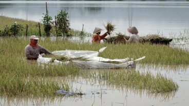 Banjir Banyumas, Petani Diminta Ikut Asuransi Antisipasi Bencana Berulang