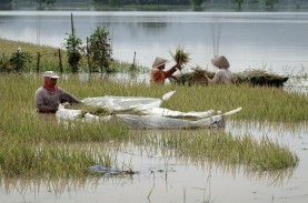 Banjir Banyumas, Petani Diminta Ikut Asuransi Antisipasi…