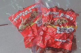 Memanen Untung dari Bisnis Fillet Lele
