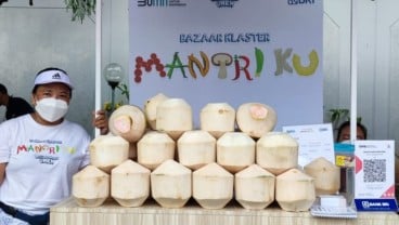 Bisnis Kelapa Muda Omzet Rp240 Juta per Bulan