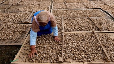 Ramadan Jadi Cerminan Ketahanan Pangan di Jateng