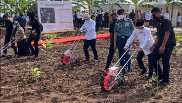 Wapres Tinjau Lokasi Program Integrated Farming di Purwakarta