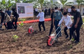 Wapres Tanam Jagung dan Kedelai dengan Metode Tumpang Sari di Purwakarta