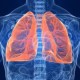 8 Cara Membersihkan Paru-paru, Murah dan Mudah