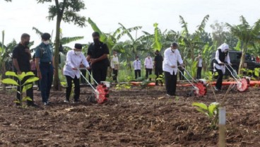 Selain Padi, Purwakarta Mulai Fokus Pengembangan Jagung dan Kedelai