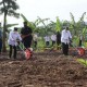 Selain Padi, Purwakarta Mulai Fokus Pengembangan Jagung dan Kedelai