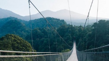 Melihat Keindahan Situ Gunung di Sukabumi, Ada Jembatan Gantung Terpanjang di Asia Tenggara