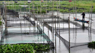Strategi Lecut Produksi Lewat Kampung Perikanan
