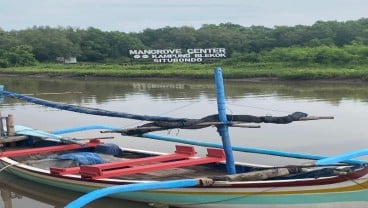 Paiton Energy Konservasi Hutan Bakau untuk Mitigasi Perubahan Iklim