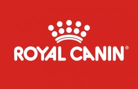 Duh! Harga Royal Canin Naik per April 2022, Ini Sebabnya