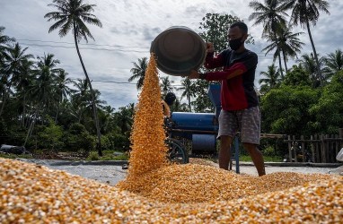 IHPB Maret 2022 Naik 0,75 Persen, Tertinggi di Sektor Pertanian